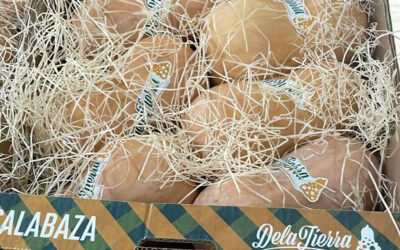 ¡Calabazas con calidad! Seguridad alimentaria que no da miedo