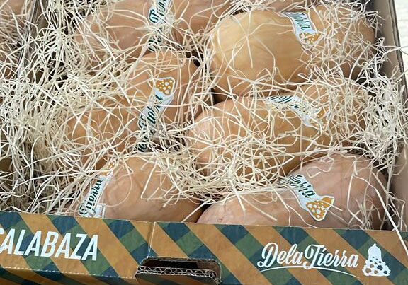 CALABAZA-Manchega-calidad-y-sabor