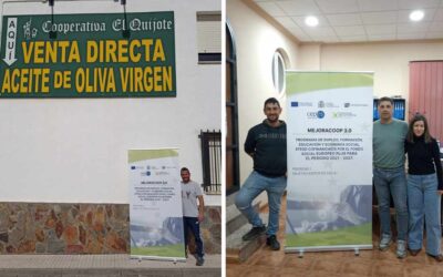 Revisión y actualización de los planes APPCC ante el inicio de la campaña de aceituna