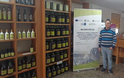 Seguimos trabajando para poner a punto en el ámbito de la seguridad alimentaria a nuestras cooperativas almazareras