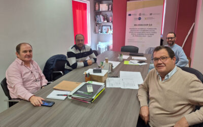 Avances en la implementación del Plan Estratégico en la Cooperativa La Remediadora