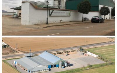 Avanza el proceso de fusión entre la Cooperativa San Isidro de Las Labores, S. Coop. CLM y Oleovinícola Laboreña, S. Coop. CLM.