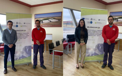 Diversificación de actividades en Mercajúcar S. Coop. CLM