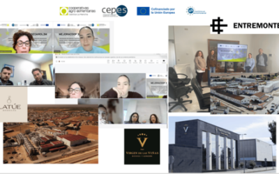 Impulso a la sostenibilidad en bodegas de Castilla-La Mancha con el protocolo SWfCP