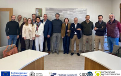 Aprobada la fusión entre Vinícola de Tomelloso y Virgen de las Viñas