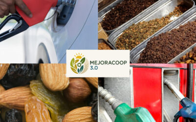 Diversificación de la actividad cooperativista