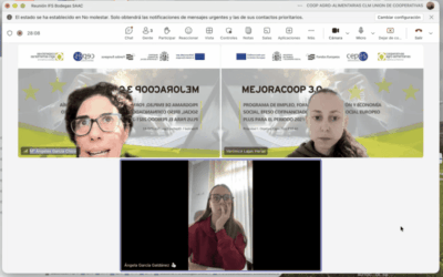 Implantación de norma IFS en Bodegas SAAC