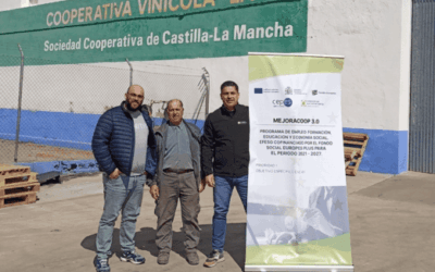 Actualización del plan APPCC en la cooperativa La Fe (Camuñas, Toledo)