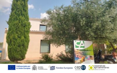 Nuevo proyecto de consultoría estratégica con Cereales Alcamancha